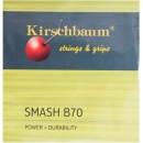 NACIĄG DO BADMINTONA KIRSCHBAUM SMASH B70 10 M