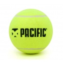  PIŁKA NA AUTOGRAFY PACIFIC MINI JUMBO BALL 5''